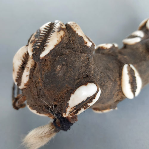 Turka sacred diviner power object horn fetish with cowrie shells.