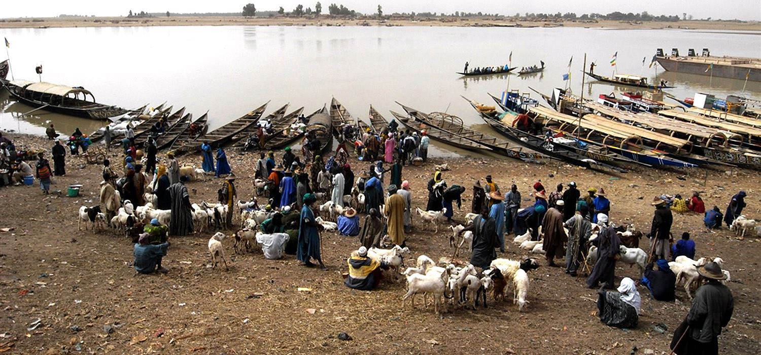 The activity along the banks of the Niger River in the city of Mopti in Mali. Pinnaces used to transport people, animals and goods are pulled up along the banks of the river. Various ethnic groups, such as the Peul, Bamana, Bozo gather here to trade and barter their good and animals. This activity is centuries old and held weekly. People come from all over he region to take part in this special market day.