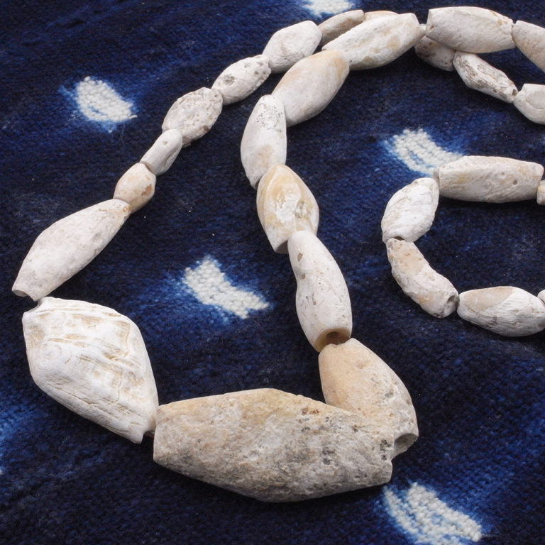 Ancient Neolithic Fossilised Shell Beads, Mali - Image 3